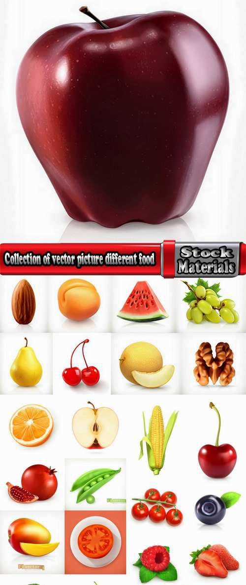 Collection of vector picture different food fruit vegetables
