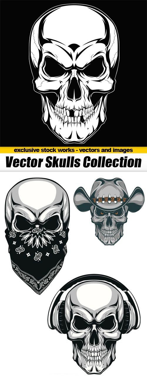 Vector Skulls Collection - 5x EPS