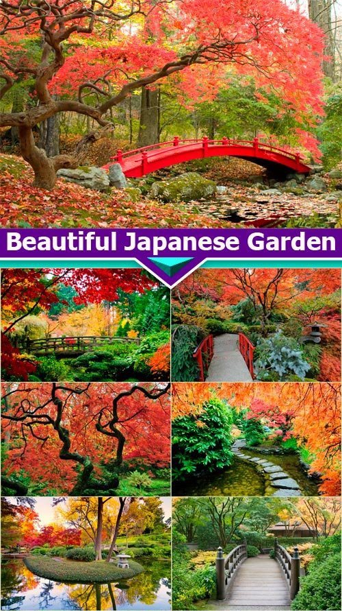 Beautiful Japanese Garden 9X JPEG