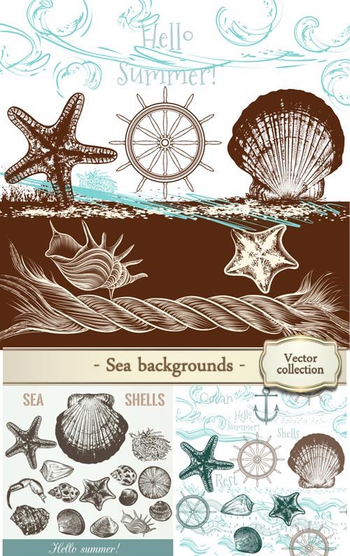Collection of hand drawn sea elements rope and shells in vintage style