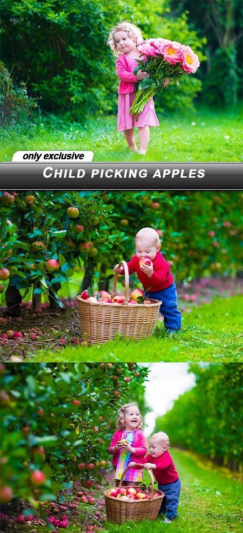 Child picking apples - 7 UHQ JPEG