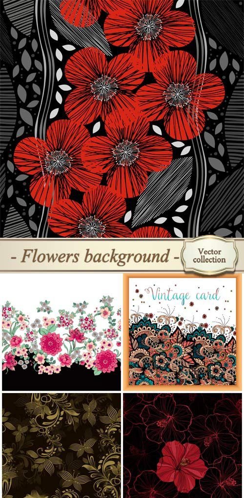 Vector background with flowers and ornaments