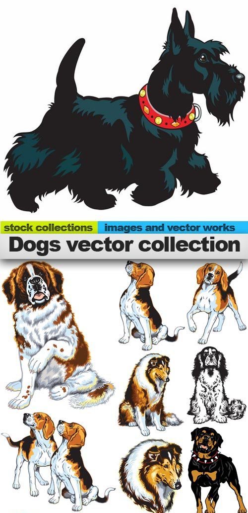 Dogs vector collection, 25 x EPS