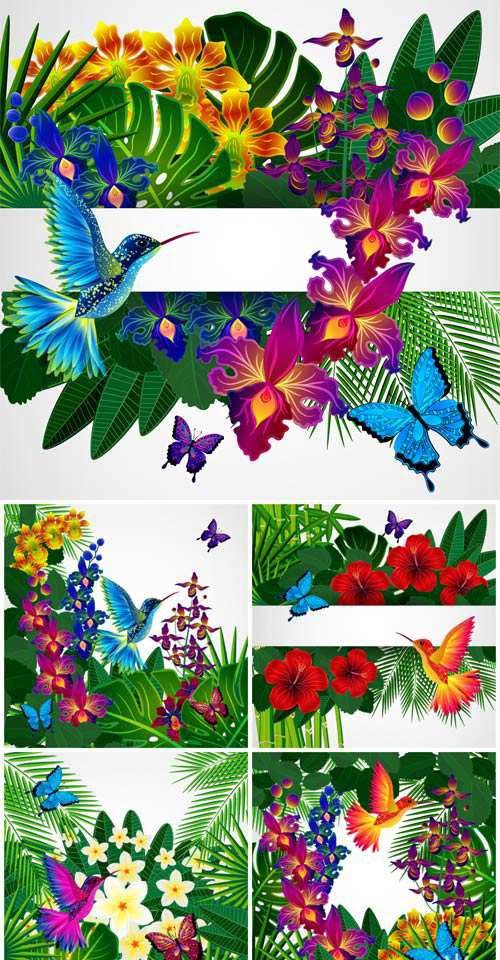 Tropical flowers and birds vector