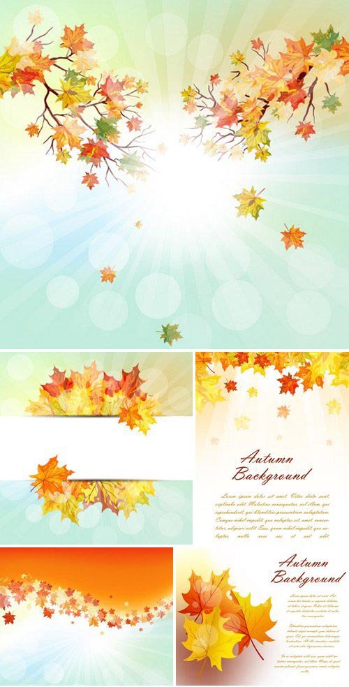 Stock Vectors - Autumn Frame With Falling Maple Leaves on White or Sky Background
