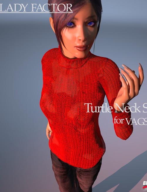 V4 Turtle Neck Sweater