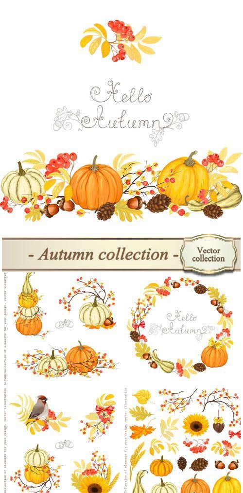 Autumn vector collection, pumpkin, sunflower, rowan
