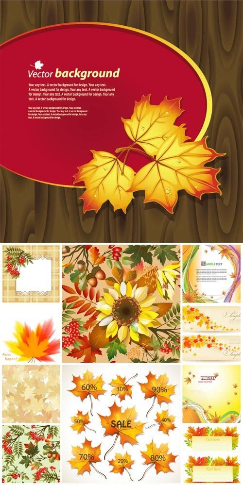 Autumn, vector background with leaves