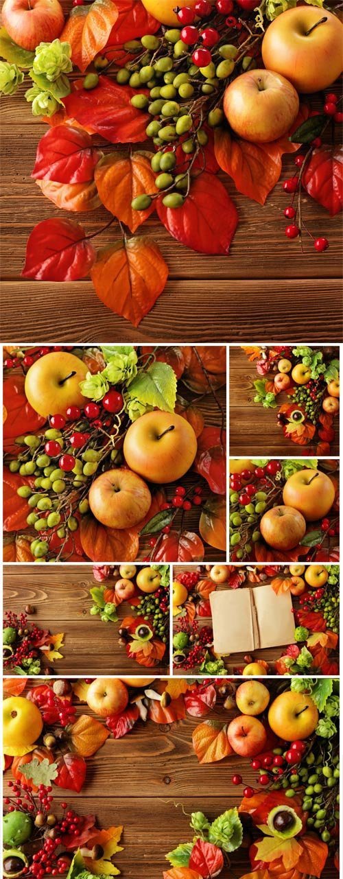 Autumn composition on wooden background - Stock photo