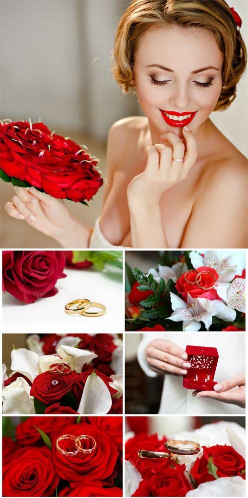 Wedding rings and roses - Stock photo