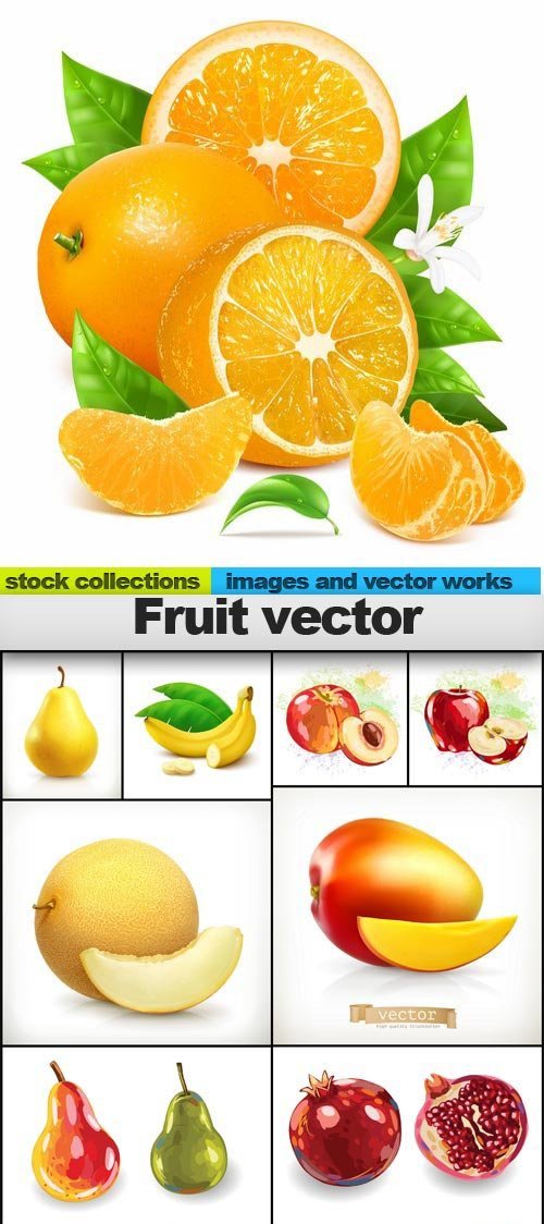 Fruit vector, 15 x EPS