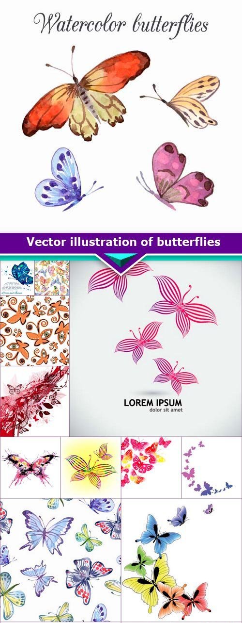 Vector illustration of butterflies 13X EPS