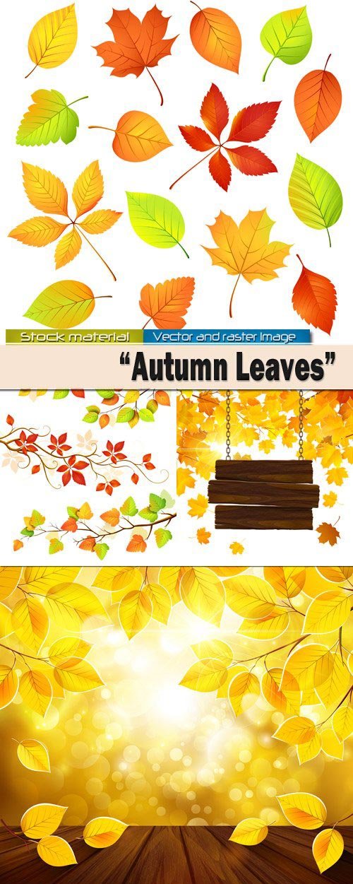 Bright autumn leaves in Vector