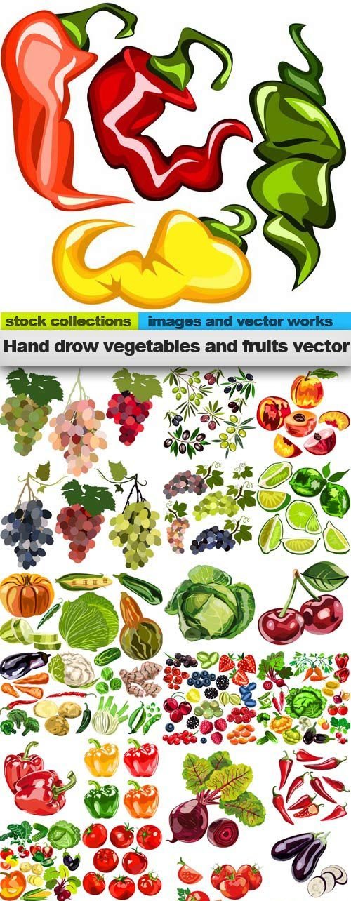 Hand drow vegetables and fruits vector,25 x EPS