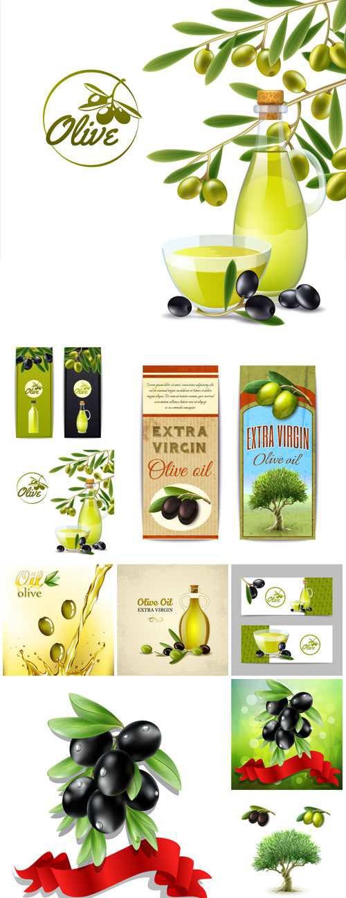 Olives and olive oil, backgrounds vector