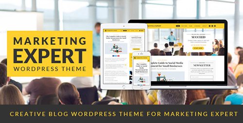 ThemeForest - Expert v1.2 - Blog Wordpress Theme for Marketer