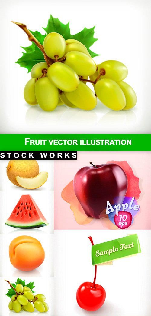 Fruit vector illustration - 12 EPS