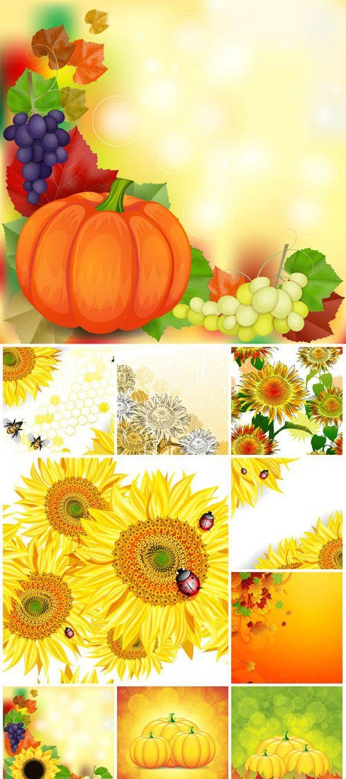 Autumn vector background, pumpkins and sunflowers