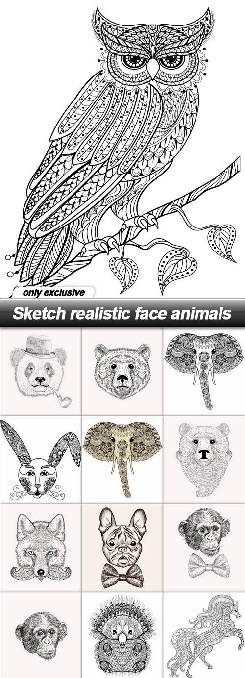 Sketch realistic face animals - 15 EPS