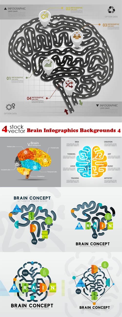 Vectors - Brain Infographics Backgrounds 4