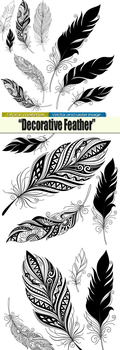 Decorative feathers in Vector