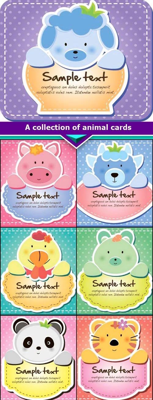 A collection of animal cards 9x EPS