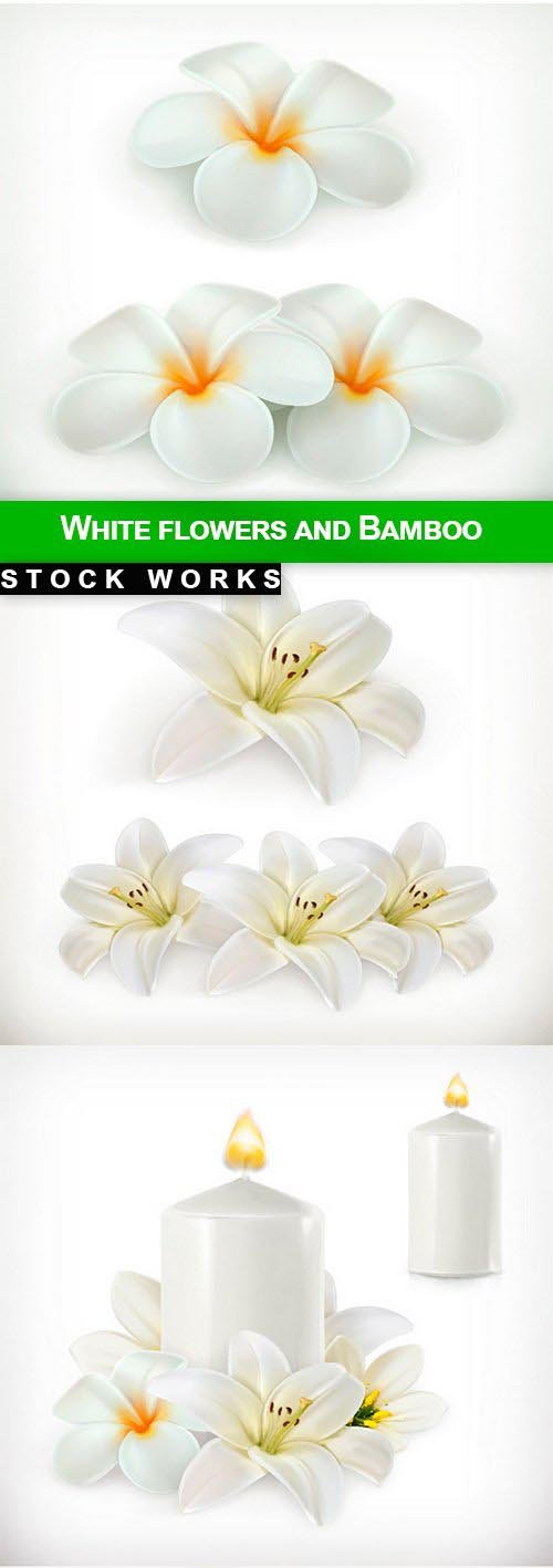White flowers and Bamboo - 5 EPS