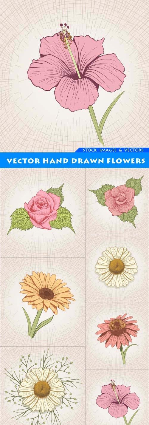 Vector hand drawn flowers 7X EPS