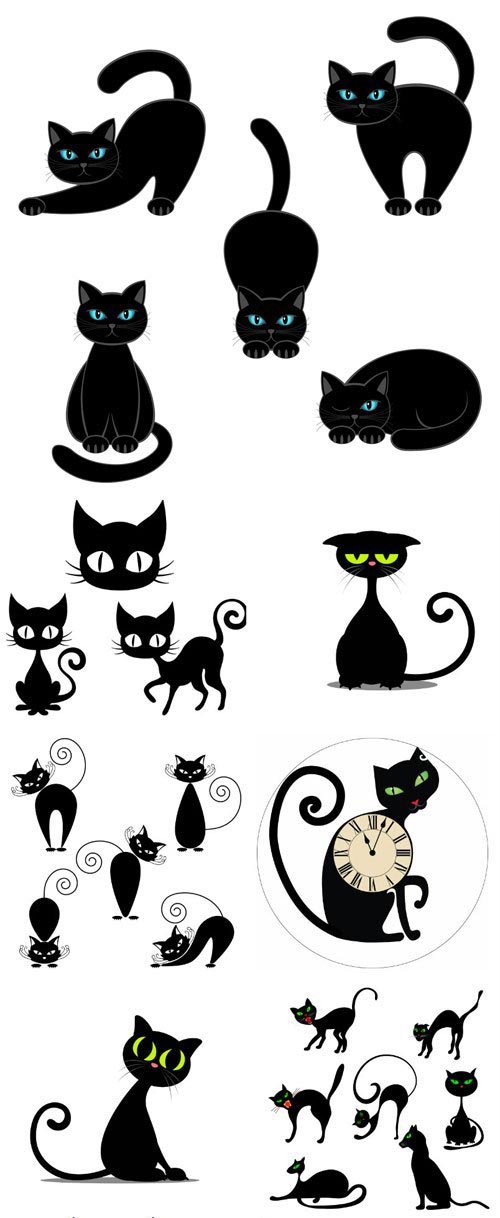 Black cat in different poses