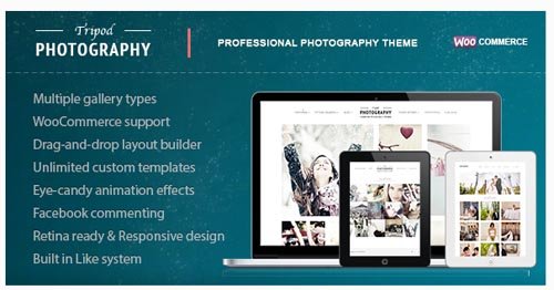 ThemeForest - Tripod v4.1 - Professional WordPress Photography Theme - 4438731