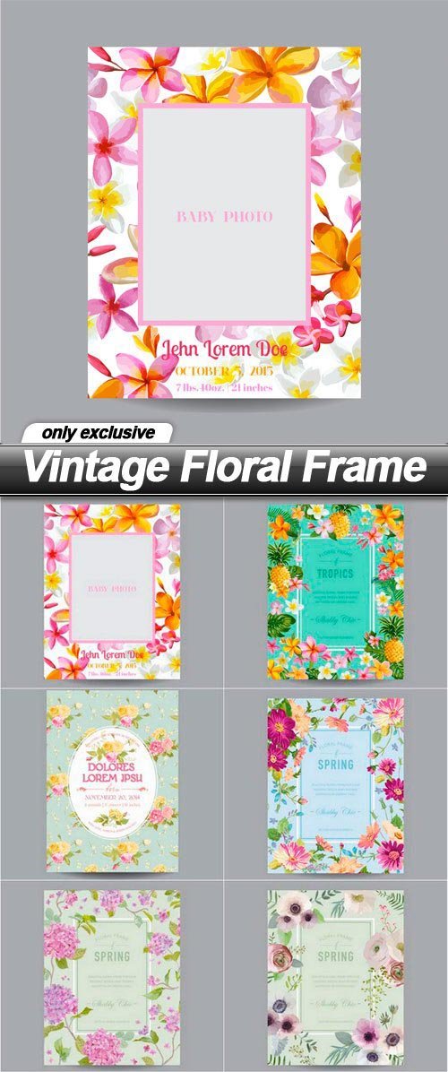 Vintage Floral Frame 2 - 14 EPS