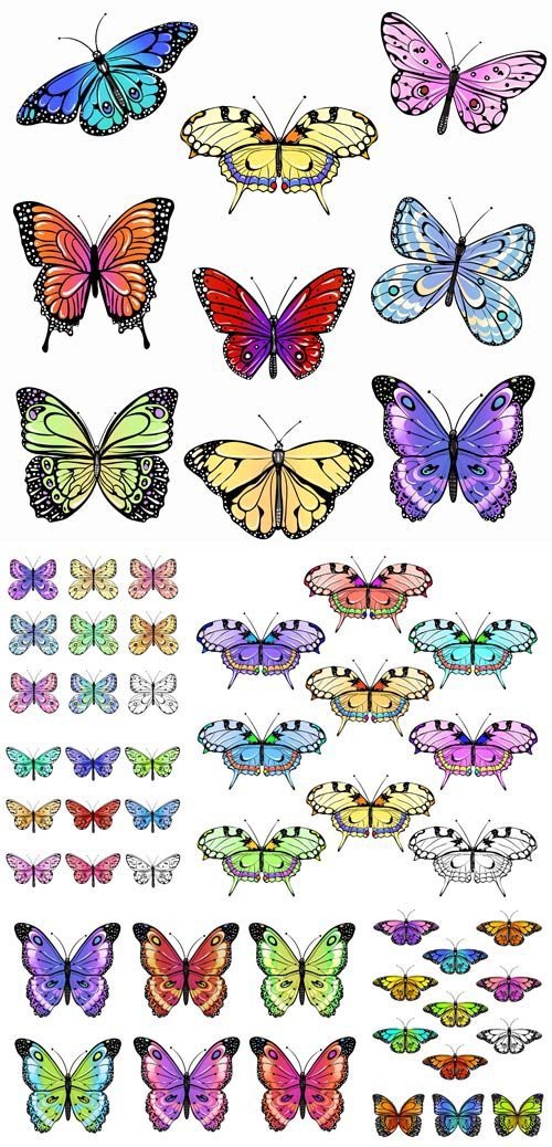 Butterflies, vector illustration
