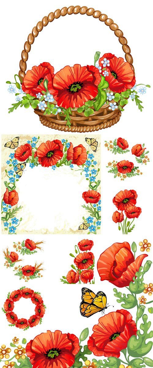 Red poppies, vector illustration
