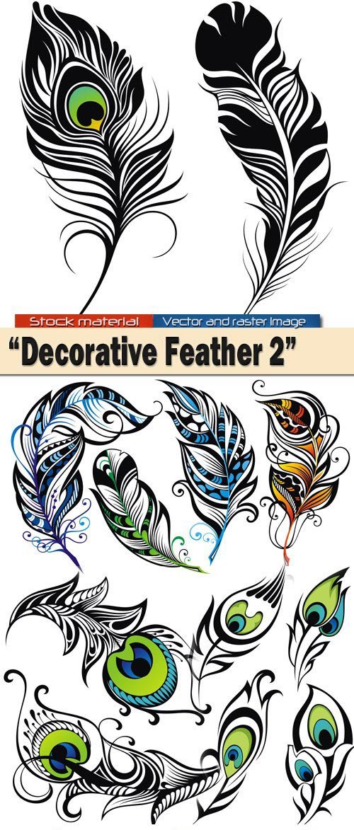 Decorative Feather 2