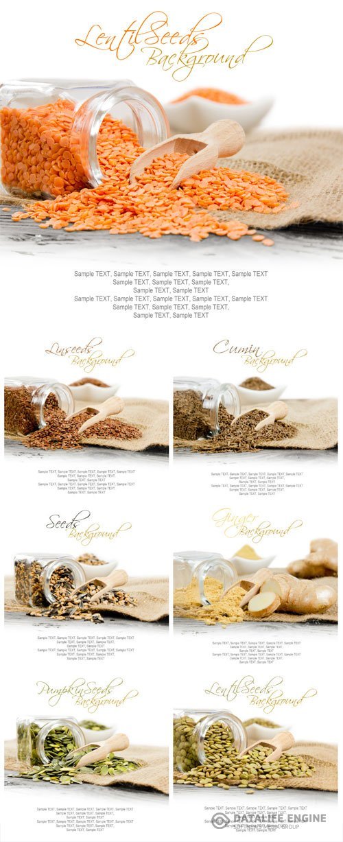 Cereals, grains and spices