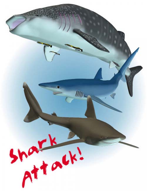 Shark Attack! Pack 1