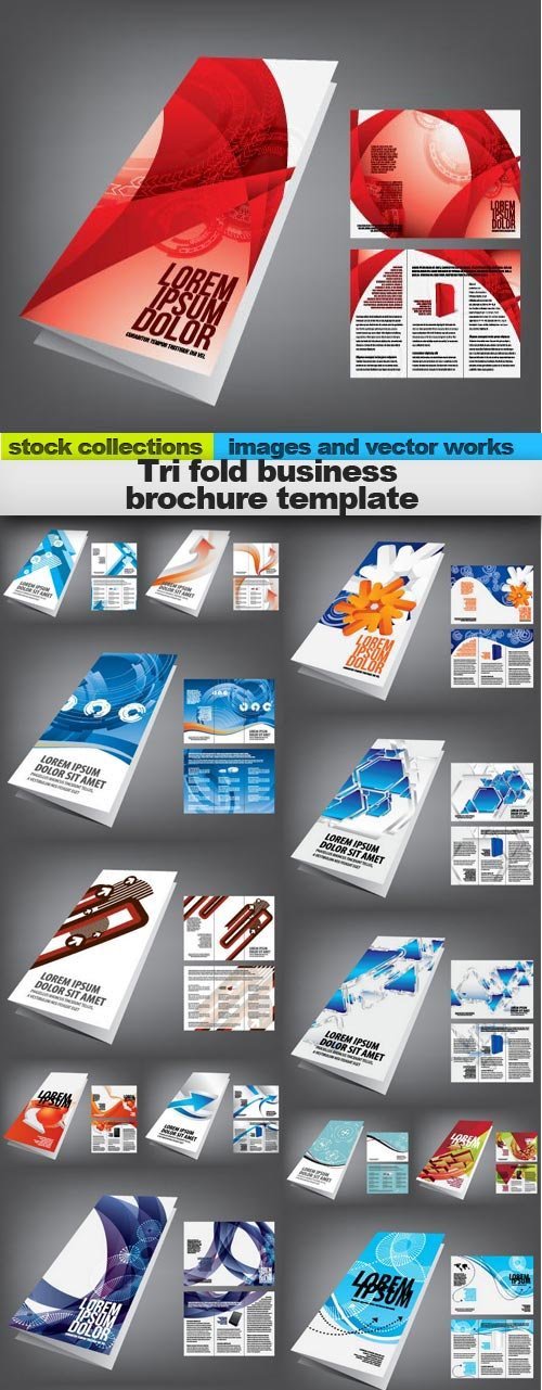 Tri fold business brochure template, 15 x EPS