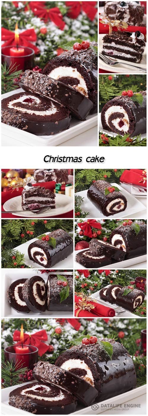 Traditional Christmas cake