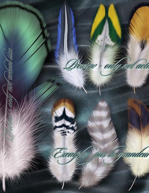 Painted Feathers