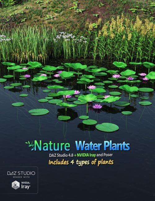 Nature - Water Plants