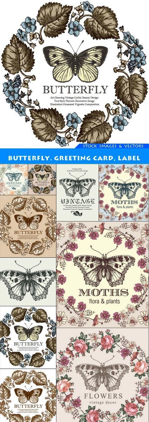Butterfly. Greeting card, label 10X EPS