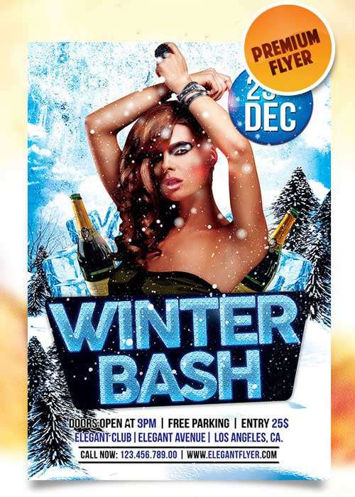 Winter Bash Flyer PSD Template + Facebook Cover