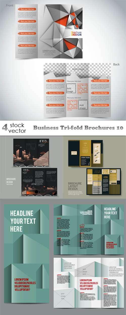 Vectors - Business Tri-fold Brochures 10
