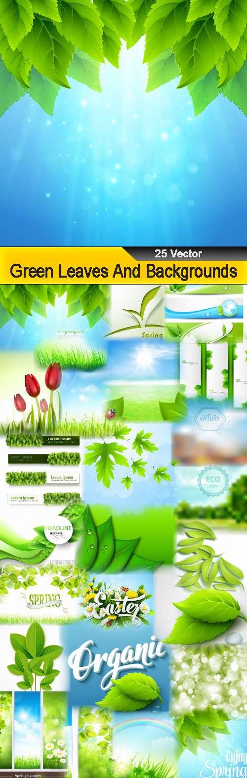 Green Leaves And Backgrounds - 25 Vector