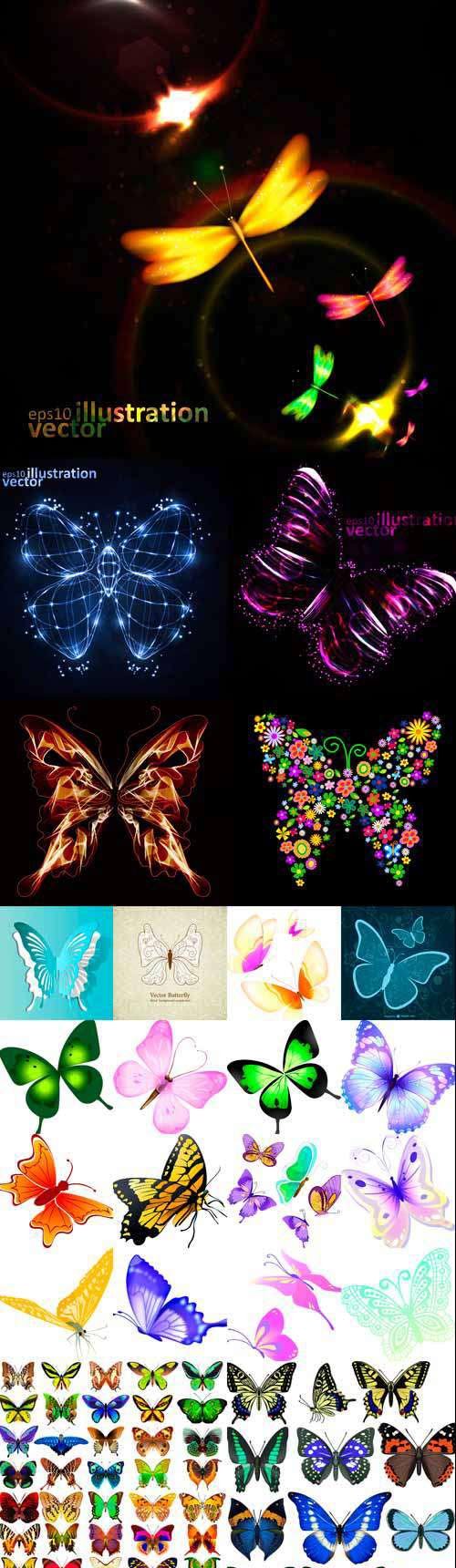 Beautiful vector butterflies
