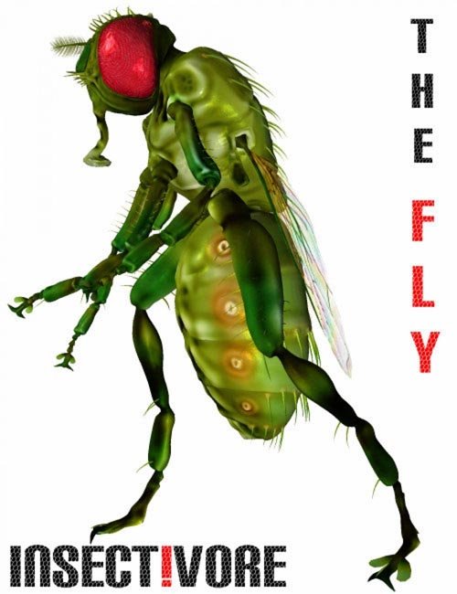 Insect-I-Vore 'The Fly'