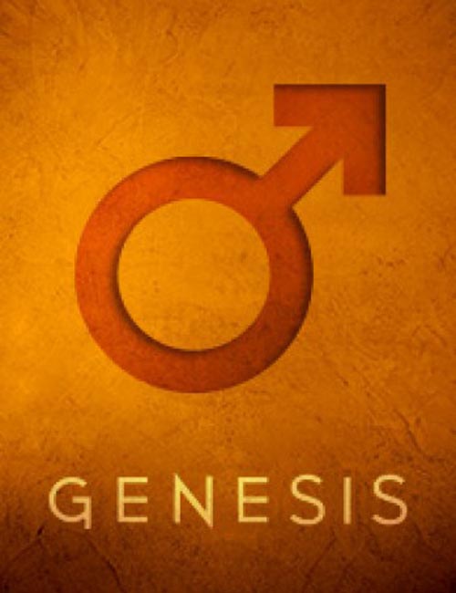 Genesis Male Anatomical Elements