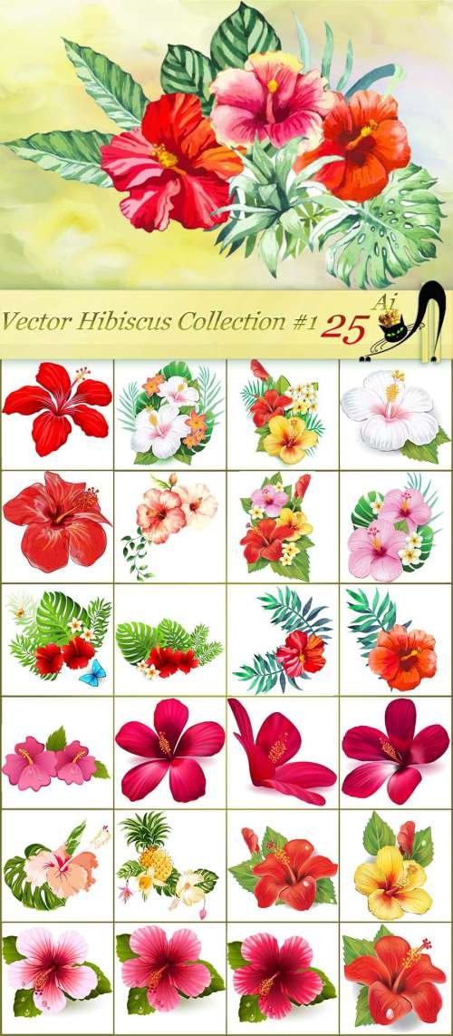 Vector Hibiscus Collection # 1 - 25 Ai Hibiscus