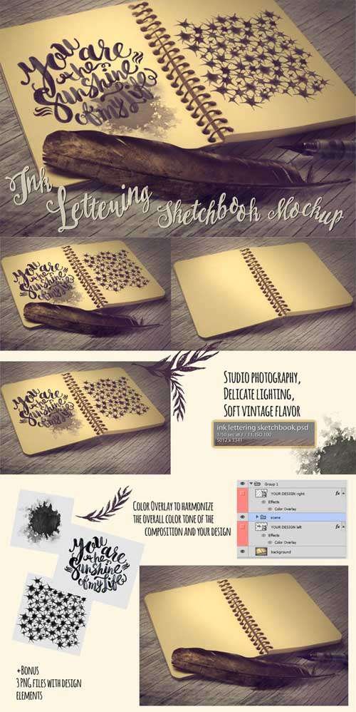 Ink Lettering Sketchbook Mockup - 320640