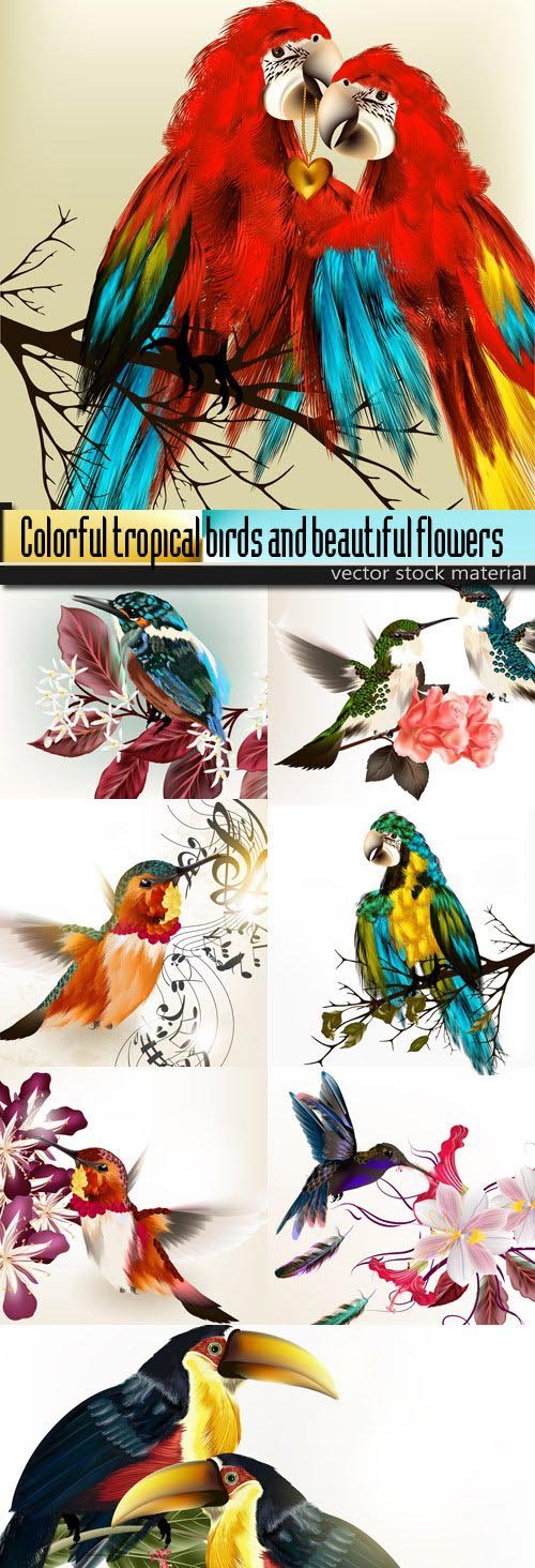 Colorful tropical birds and beautiful flowers